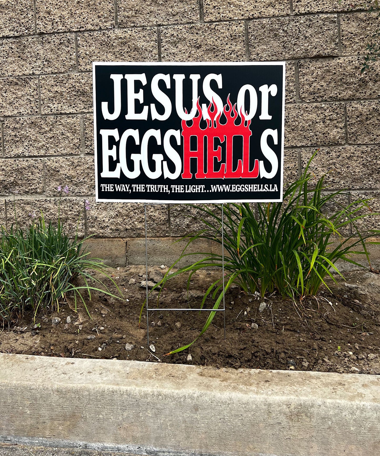 EGG-HELLS COROPLAST